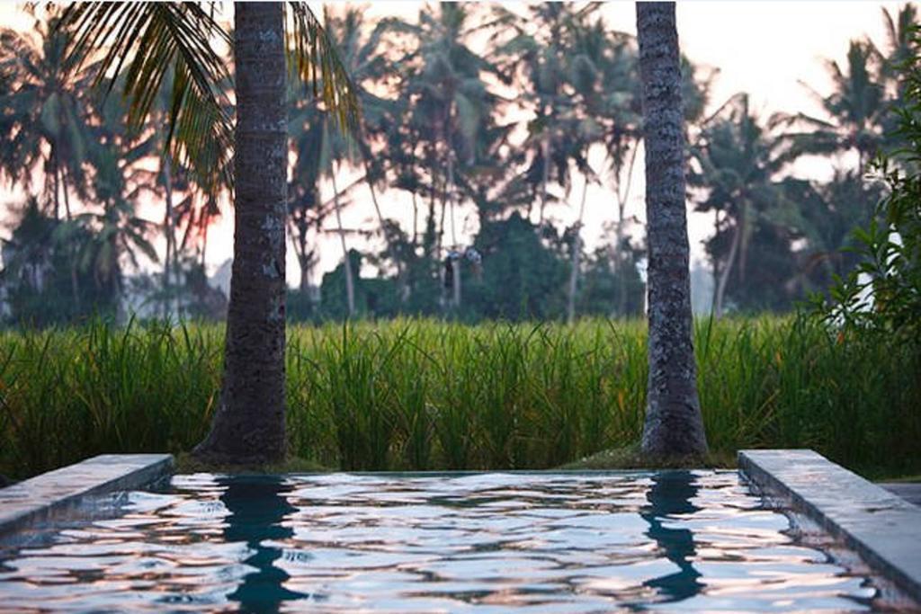 Chai House Ubud  Phòng bức ảnh